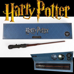 HARRY POTTER Baguette Harry Light Painting