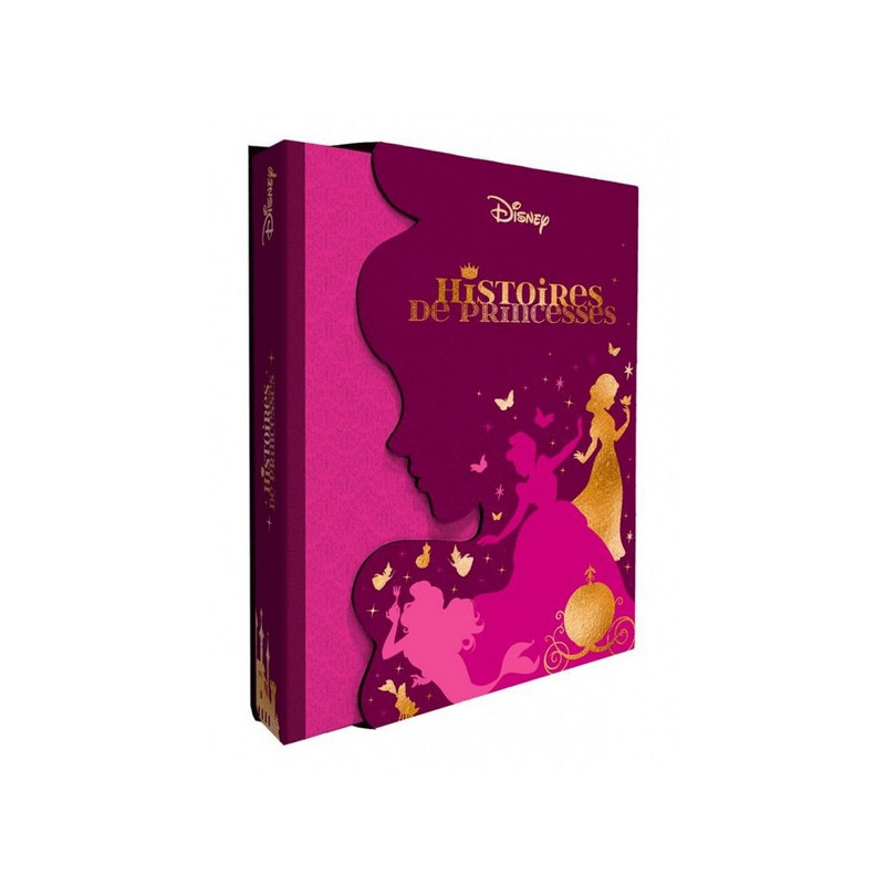 HISTOIRES DE PRINCESSES Hachette