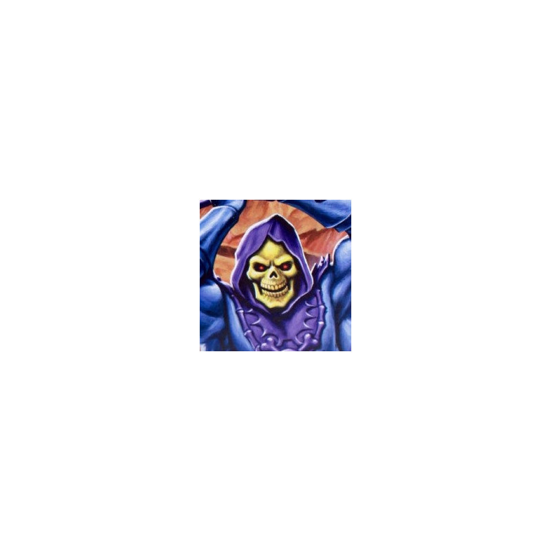 MAITRES DE L'UNIVERS figurine Skeletor ReAction Super7 MAITRES DE L'UNIVERS figurine Skeletor ReAction Super7