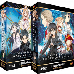 SWORD ART ONLINE Arc 1 & 2 Pack Coffret DVD Intégrale Edition Gold