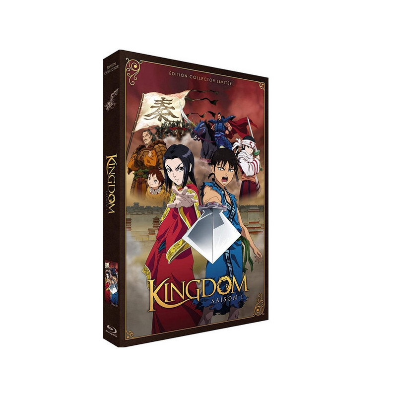 KINGDOM Saison 1 Coffret A4 Blu-ray Edition Collector Limitée KINGDOM Saison 1 Coffret A4 Blu-ray Edition Collector Limitée