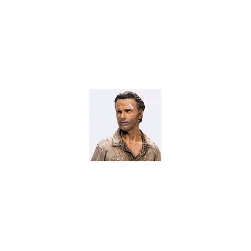 WALKING DEAD figurine Rick Grimes Color Tops McFarlane WALKING DEAD figurine Rick Grimes Color Tops McFarlane