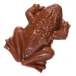 HARRY POTTER Jelly Belly Chocogrenouille  Choco Frog