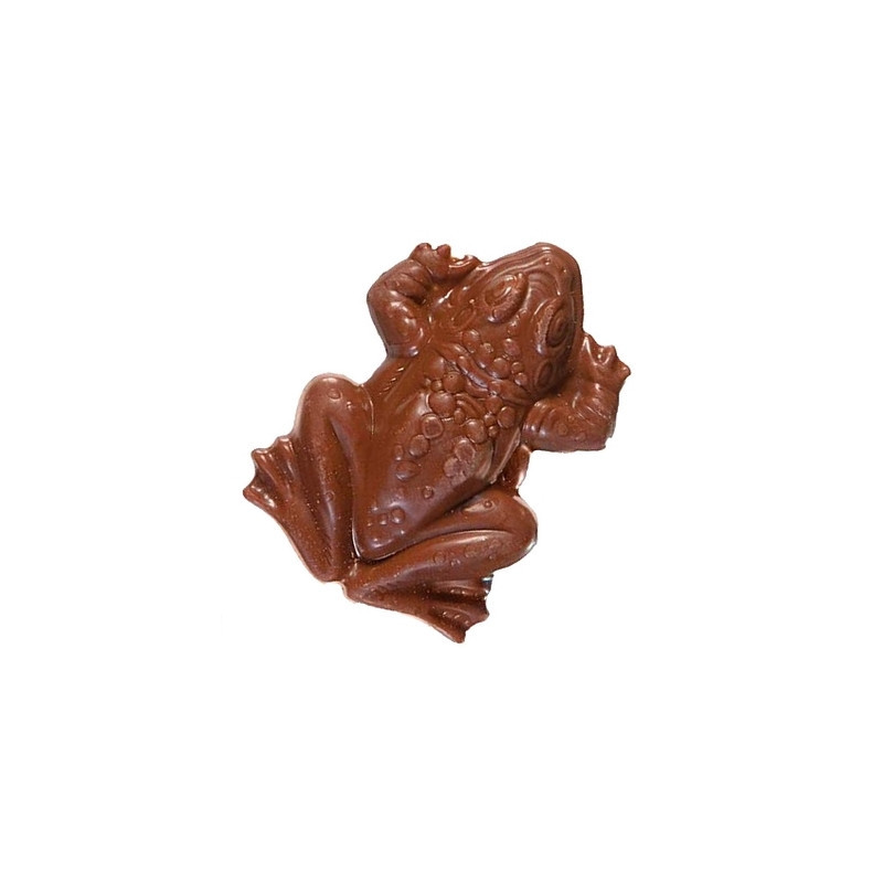 HARRY POTTER Jelly Belly Chocogrenouille  Choco Frog