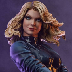 DC COMICS Statue Black Canary Premium Format Sideshow