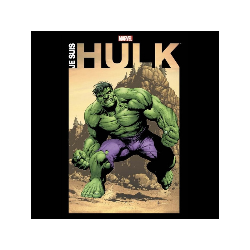 JE SUIS HULK JE SUIS HULK