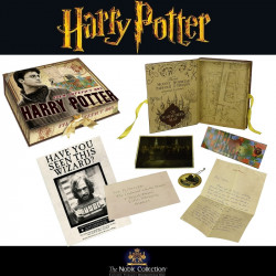  HARRY POTTER Boite d’artefacts Harry Potter Noble Collection