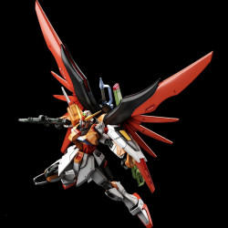 GUNDAM High Grade Destiny Gundam Heine Westenfluss Custom Bandai Gunpla