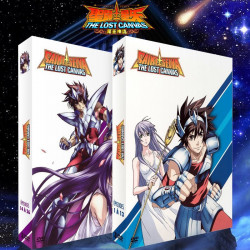 SAINT SEIYA Lost Canvas Intégrale DVD