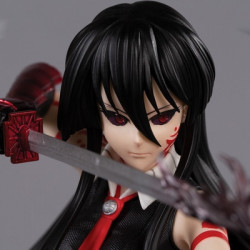 AKAME GA KILL Statue Akame Espada Art