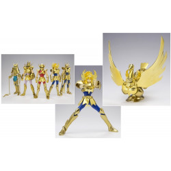 SAINT SEIYA Myth Cloth Bronze Hyoga Cygne Gold Version Animé