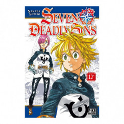 SEVEN DEADLY SINS TOME 17