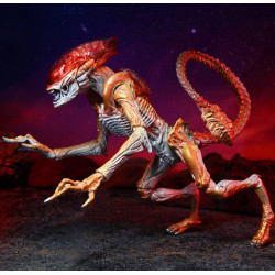 Figurine Panther Alien Kenner Tribute Neca