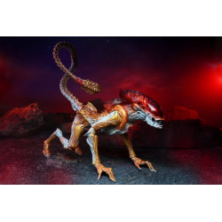 Figurine Panther Alien Kenner Tribute Neca