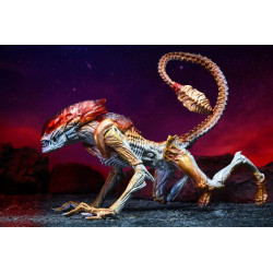 Figurine Panther Alien Kenner Tribute Neca