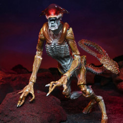 Figurine Panther Alien Kenner Tribute Neca