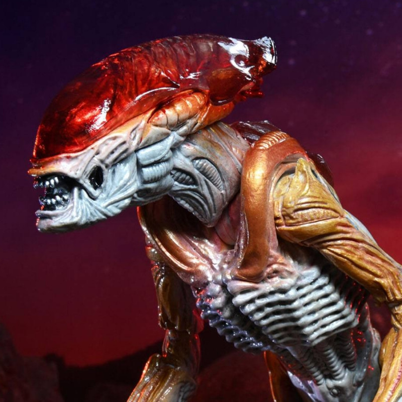Figurine Panther Alien Kenner Tribute Neca Figurine Panther Alien Kenner Tribute Neca