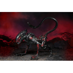 Figurine Night Cougar Alien Kenner Tribute Neca