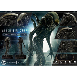 Statue Alien Big Chap Limited Version Prime 1 Studio Alien