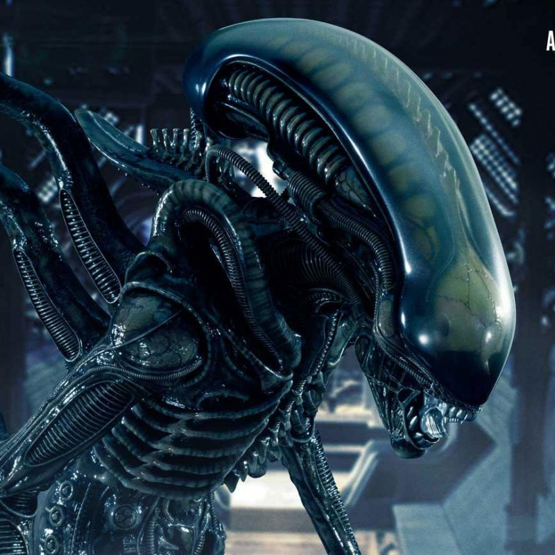 Statue Alien Big Chap Limited Version Prime 1 Studio Alien Statue Alien Big Chap Limited Version Prime 1 Studio Alien