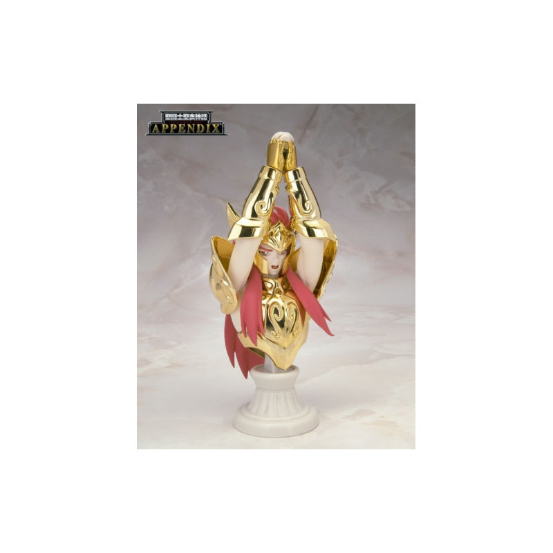 SAINT SEIYA Myth Cloth Appendix Buste Camus du Verseau OCE Tamashii exclusive SAINT SEIYA Myth Cloth Appendix Buste Camus du Verseau OCE Tamashii exclusive