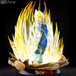 Statue Majin Vegeta HQS + Tsume DBZ