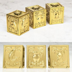 SAINT SEIYA Myth Cloth Appendix Gold Cloth Box volume 4