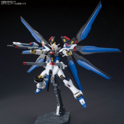 GUNDAM High Grade Strike Freedom Gundam ZGMF-X20A Bandai Gunpla