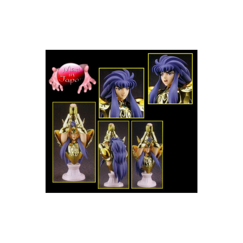 SAINT SEIYA Myth Cloth Appendix Buste Camus du Verseau SAINT SEIYA Myth Cloth Appendix Buste Camus du Verseau