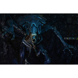 Figurine Alien Queen Ultra Deluxe Neca Aliens