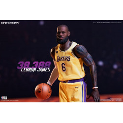 Figurine Lebron James Real Masterpiece Special Edition Enterbay NBA Collection