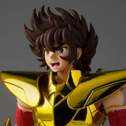 Myth Cloth EX Pegasus Seiya Final Bronze Cloth Golden Limited Edition Bandai Saint Seiya