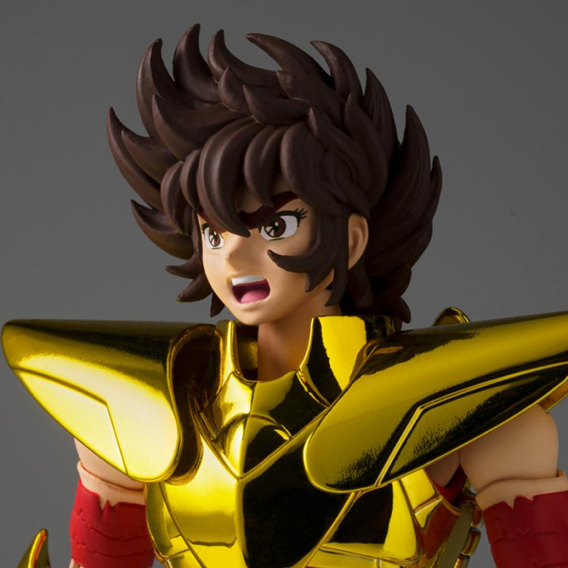 Myth Cloth EX Pegasus Seiya Final Bronze Cloth Golden Limited Edition Bandai 4573102641885
