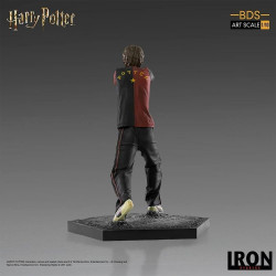 HARRY POTTER Statue Harry Potter BDS Art Scale Iron Studios