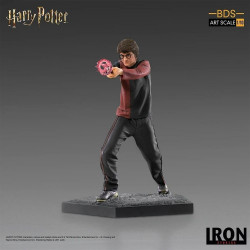 HARRY POTTER Statue Harry Potter BDS Art Scale Iron Studios