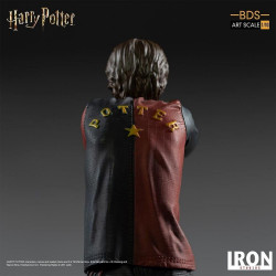 HARRY POTTER Statue Harry Potter BDS Art Scale Iron Studios