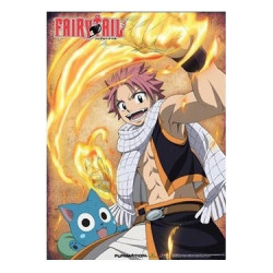 FAIRY TAIL Wallscroll Natsu & Happy