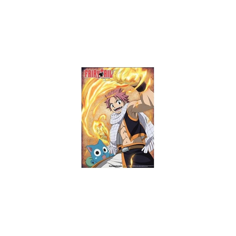 FAIRY TAIL Wallscroll Natsu & Happy