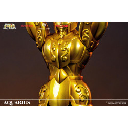 Statue Verseau Totem Zodiakos Studio Saint Seiya