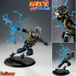  NARUTO SHIPPUDEN Kakashi Hatake XTRA Tsume Art