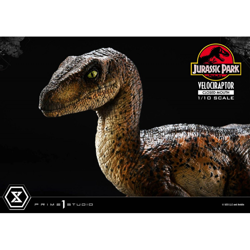 Torquay Raptor Statue Statue Velociraptor Closed Mouth Prime Collectible Figures Prime 1 ...