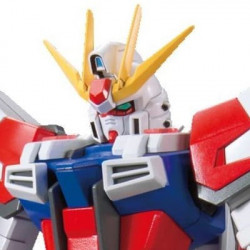 GUNDAM High Grade Star Build Gundam Playsky Wing Bandai Gunpla