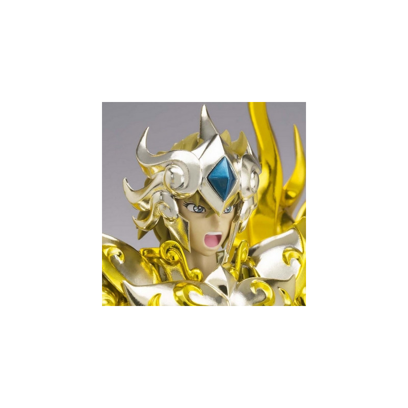 SAINT SEIYA S.O.G. Myth-Cloth EX Lion Aiolia & Effect Parts Bandai SAINT SEIYA S.O.G. Myth-Cloth EX Lion Aiolia & Effect Parts Bandai
