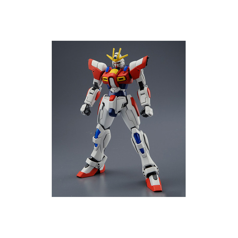 GUNDAM HIGH GRADE Build Burning Gundam Bandai Gunpla GUNDAM HIGH GRADE Build Burning Gundam Bandai Gunpla