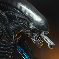 Figurine ¼ Big Chap 40th Anniversary Ultimate Neca Alien