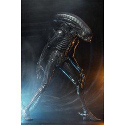 Figurine ¼ Big Chap 40th Anniversary Ultimate Neca Alien