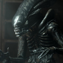 ALIEN Figurine Big Chap 40th Anniversary Ultimate Neca