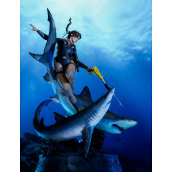 Statue Lara Croft Quest for Avalon Weta Workshop Tomb Raider