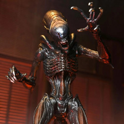 ALIEN ROMULUS Figurine Ultimate Scorched Xenomorph Neca