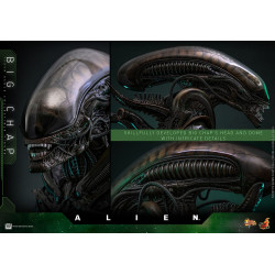 Figurine Movie Masterpiece Alien Big Chap Hot Toys Alien